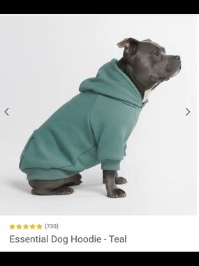 Spark Paws Essential Dog Hoodie - Teal